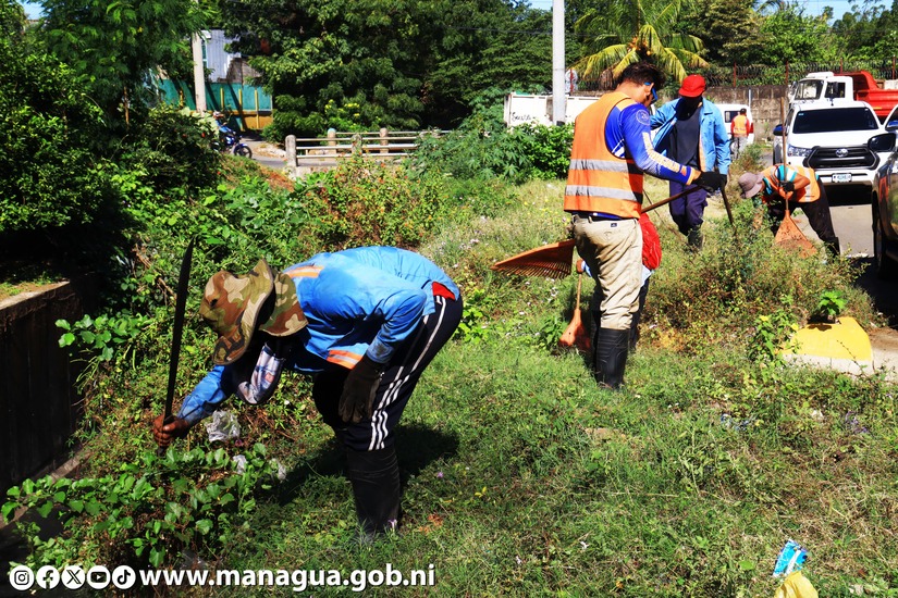 LIMPIEZA-DE-CAUSES-15