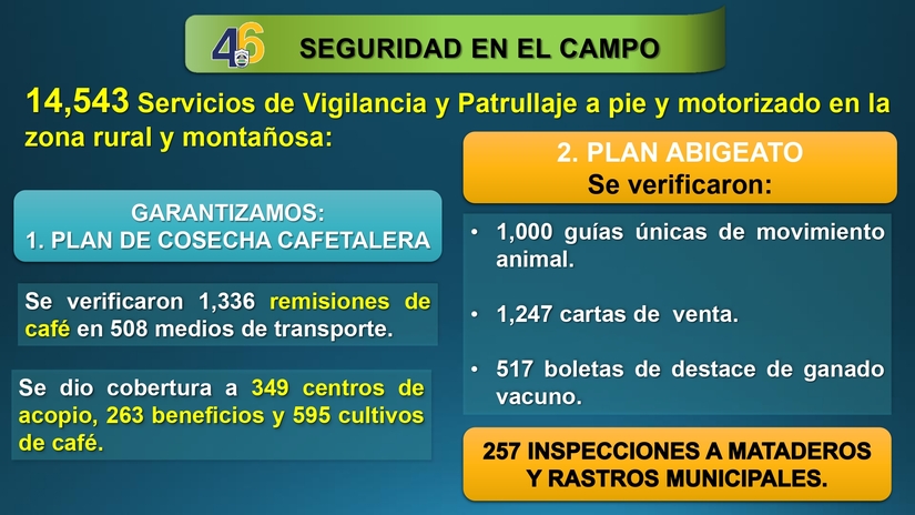 Resultados-del-Plan-de-Seguridad-Ciudadana-del-30-de-enero-al-5-febrero-2025_page-0006
