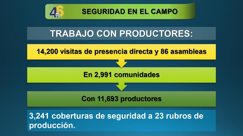 Resultados-del-Plan-de-Seguridad-Ciudadana-del-30-de-enero-al-5-febrero-2025_page-0007