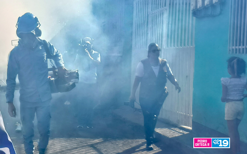 Brigadas-de-Fumigacion-2