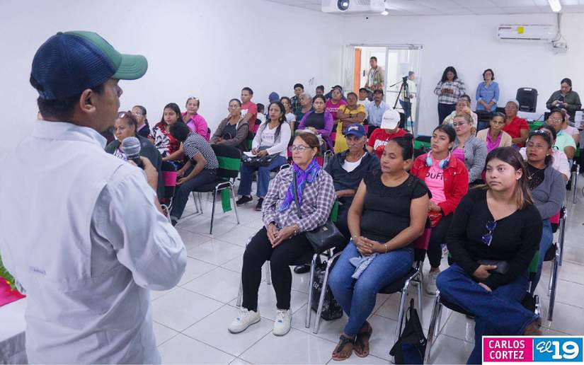 Nueva-variedad-de-chiltoma-13