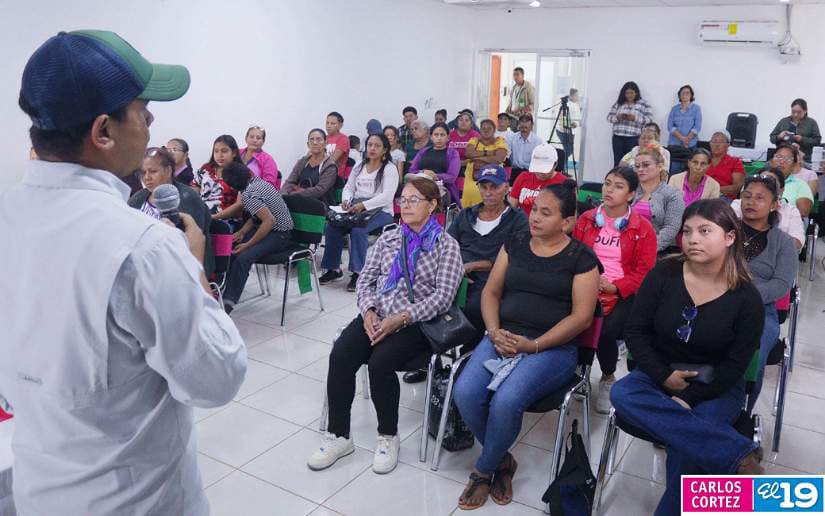 Nueva-variedad-de-chiltoma-3