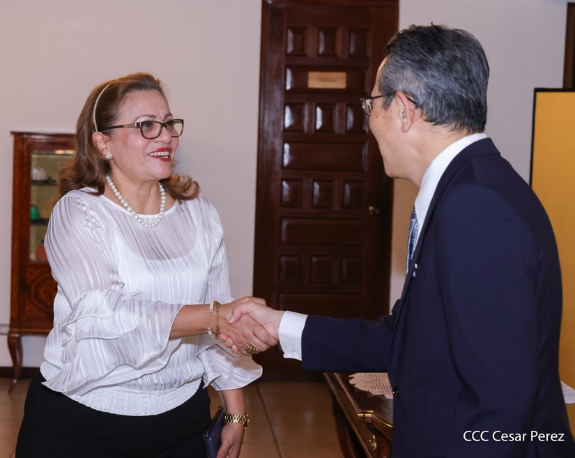 Dia-de-la-Amistad-con-Japon-(10)