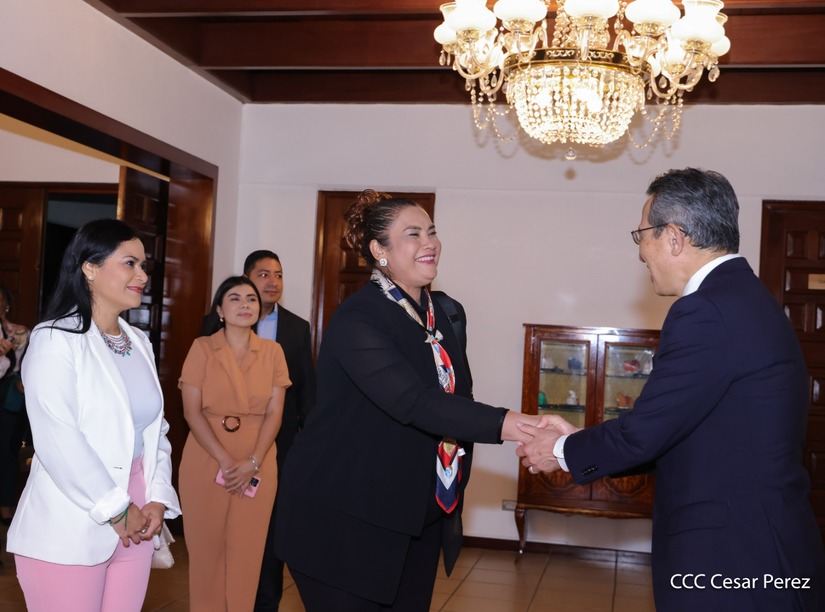 Dia-de-la-Amistad-con-Japon-(4)