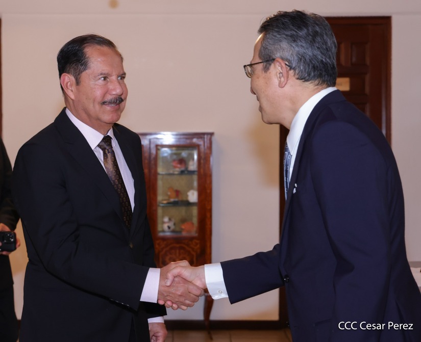 Dia-de-la-Amistad-con-Japon-(5)