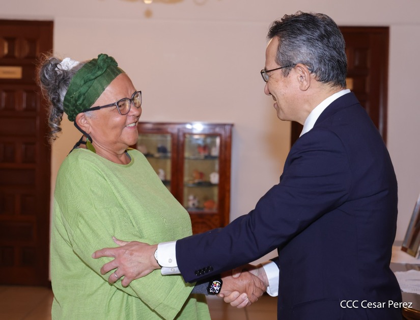 Dia-de-la-Amistad-con-Japon-(6)