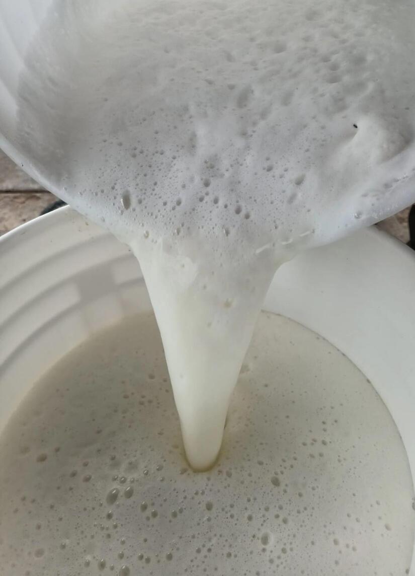 PRODUCCION-DE-LECHE-(5)