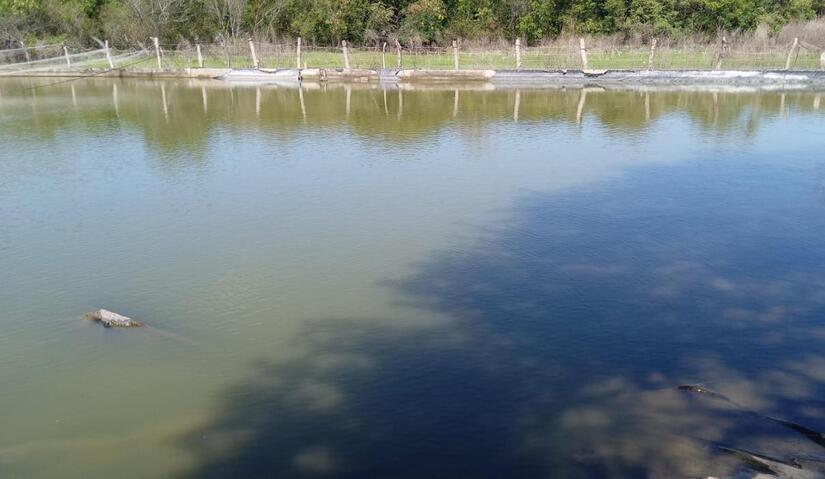 INPESCA9