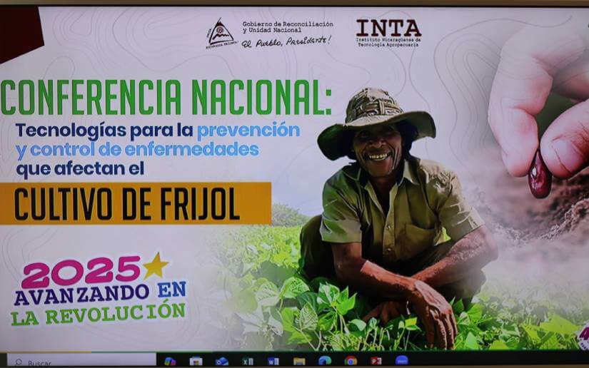 inta-tallerfrijol-4