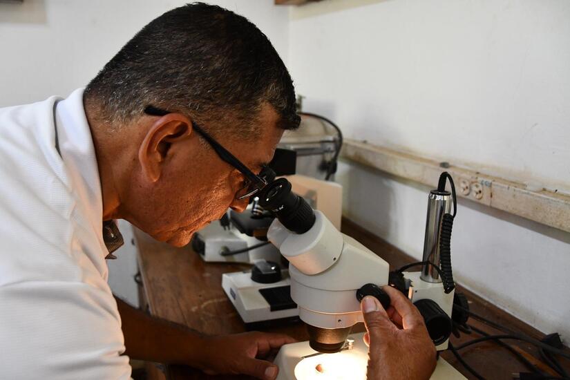 Banco-de-semillas--5