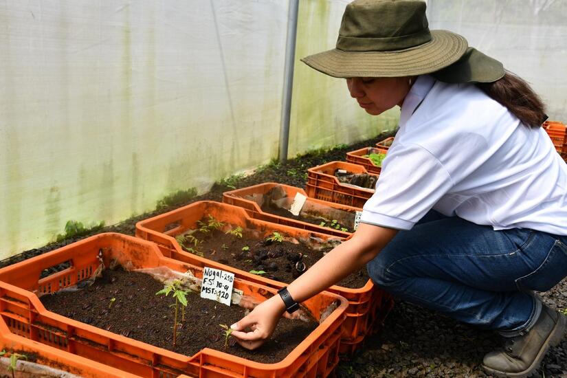 Banco-de-semillas--6