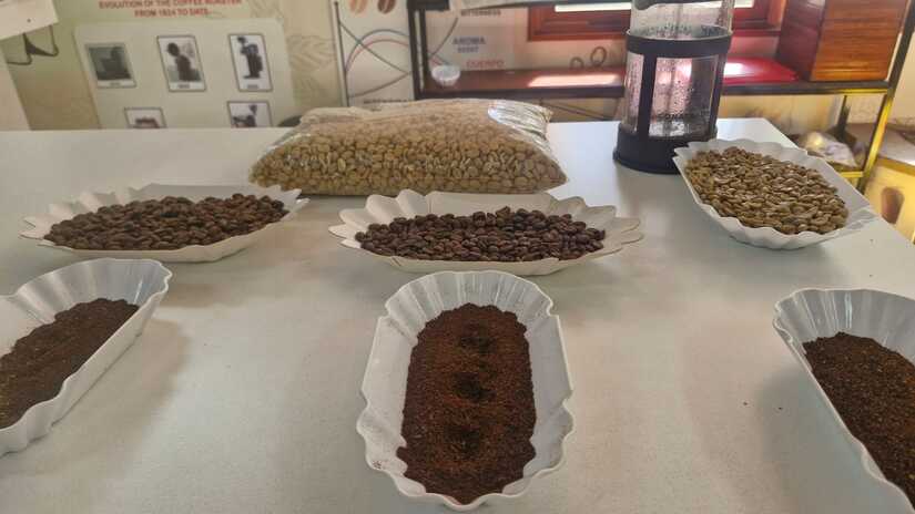 Diplomado-en-Cafe-12