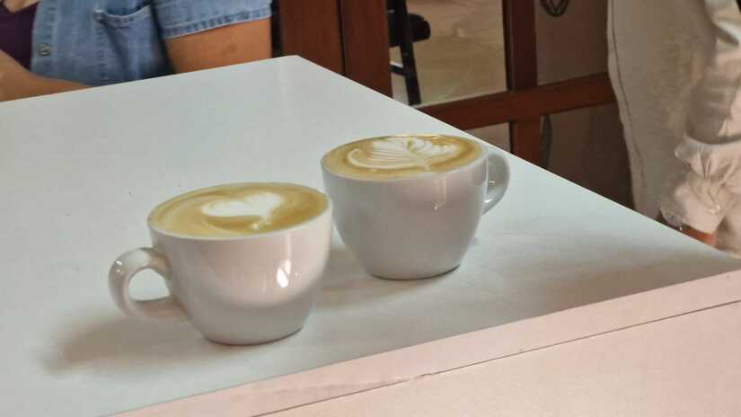 Diplomado-en-Cafe-15