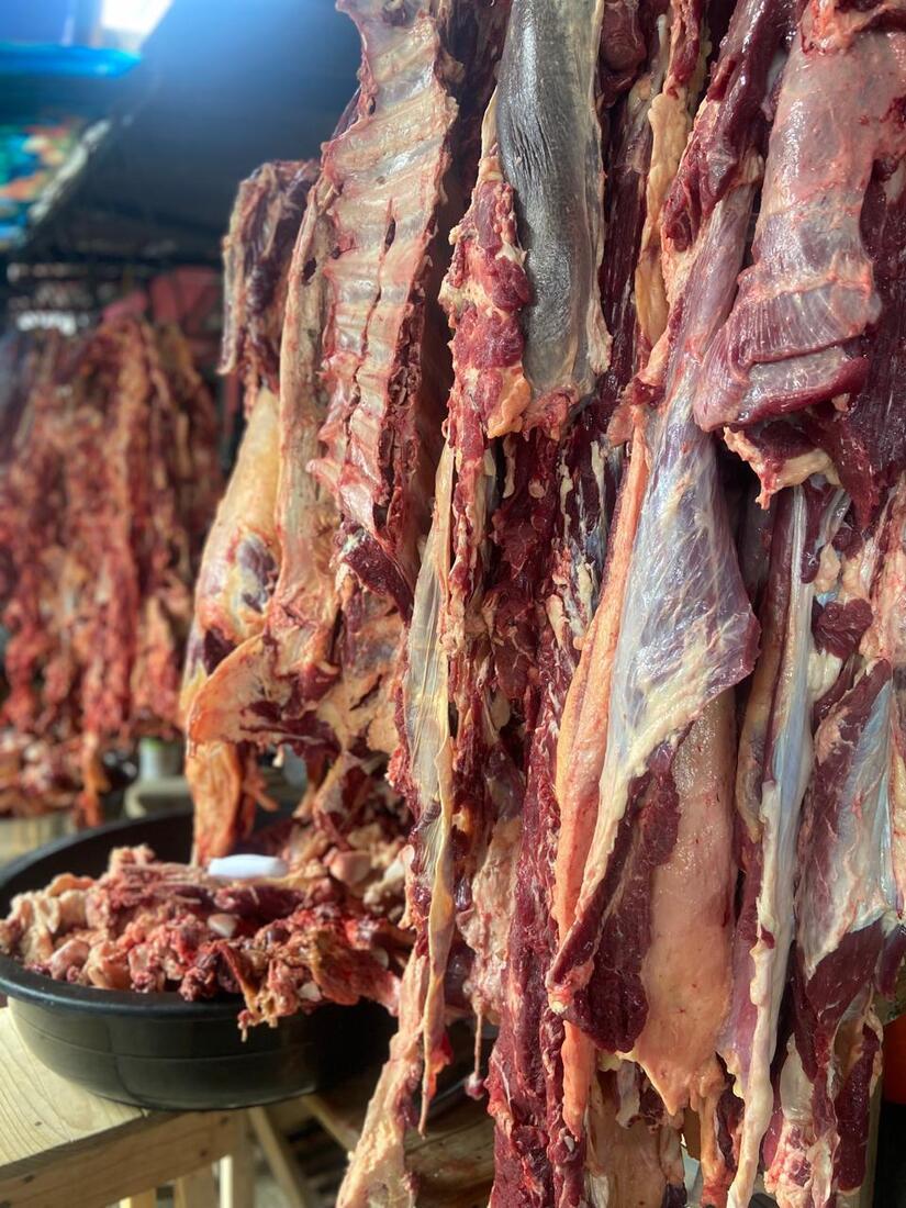CARNE-(3)