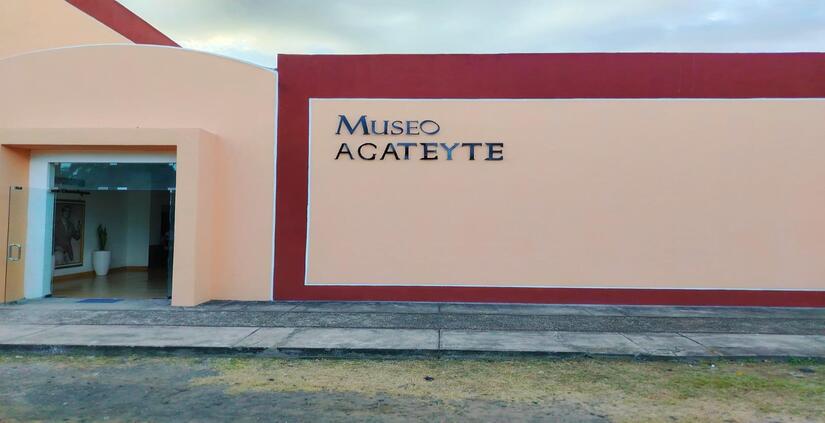 MUSEO-(1)