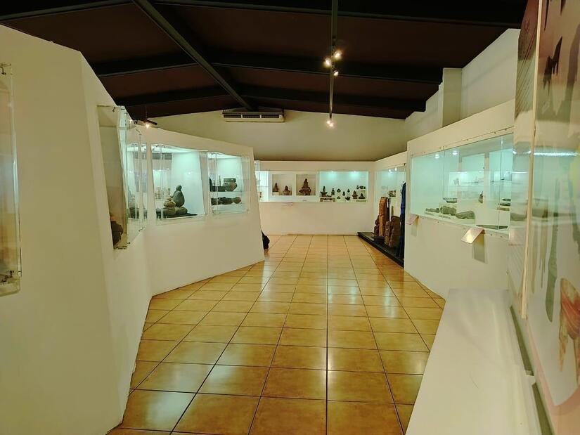 MUSEO-(2)