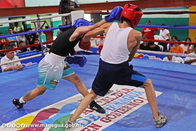BOXEO6