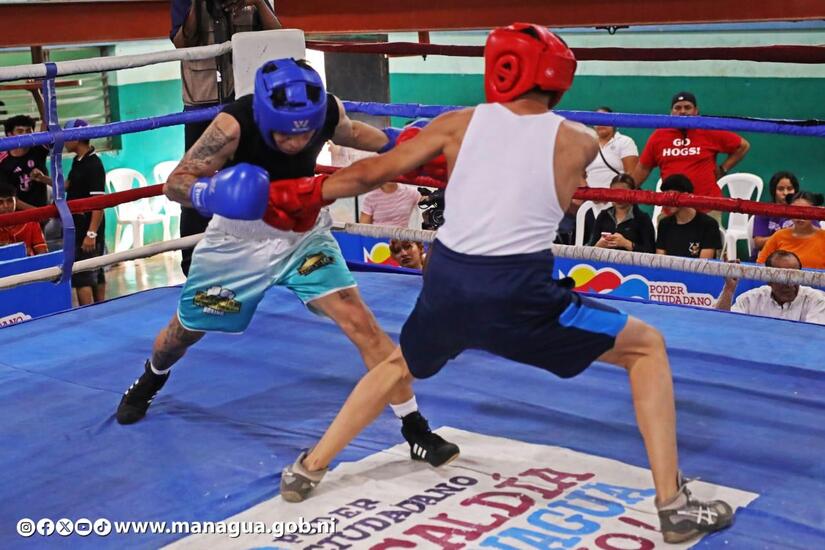 BOXEO8