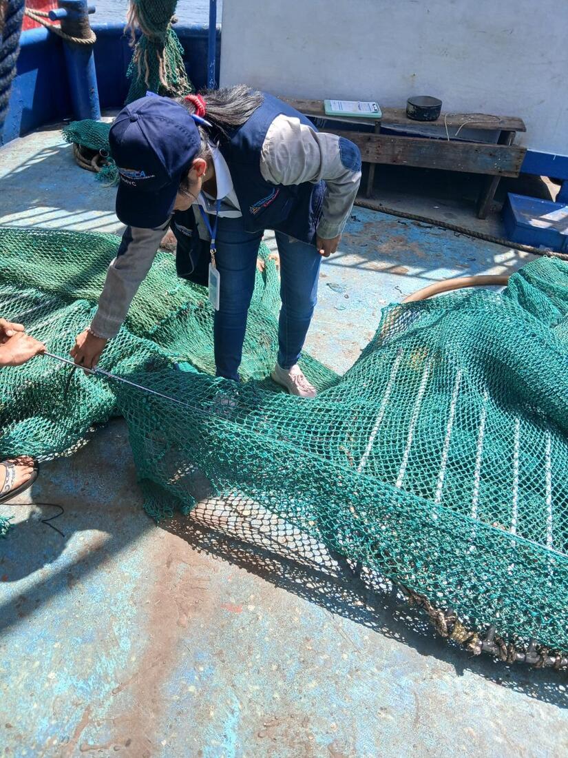 INPESCA11