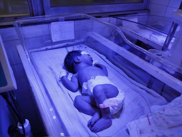 NEONATAL19