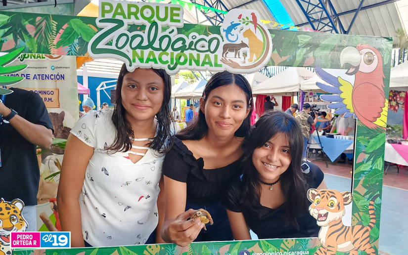 FESTIVAL-DE-LOS-ARROCES-7
