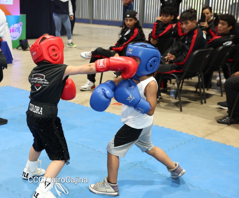 BOXEO11