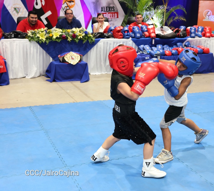 BOXEO13