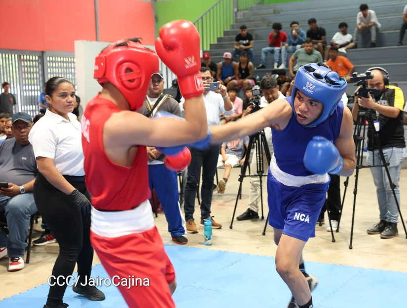 BOXEO19