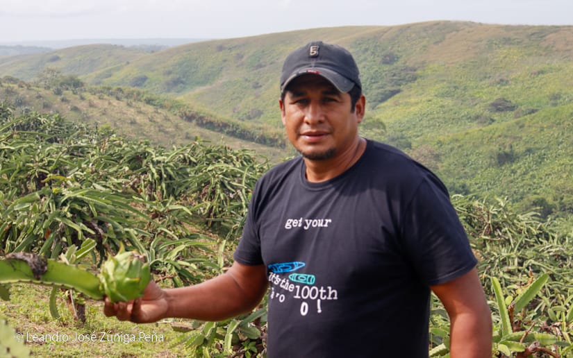PITAHAYA14