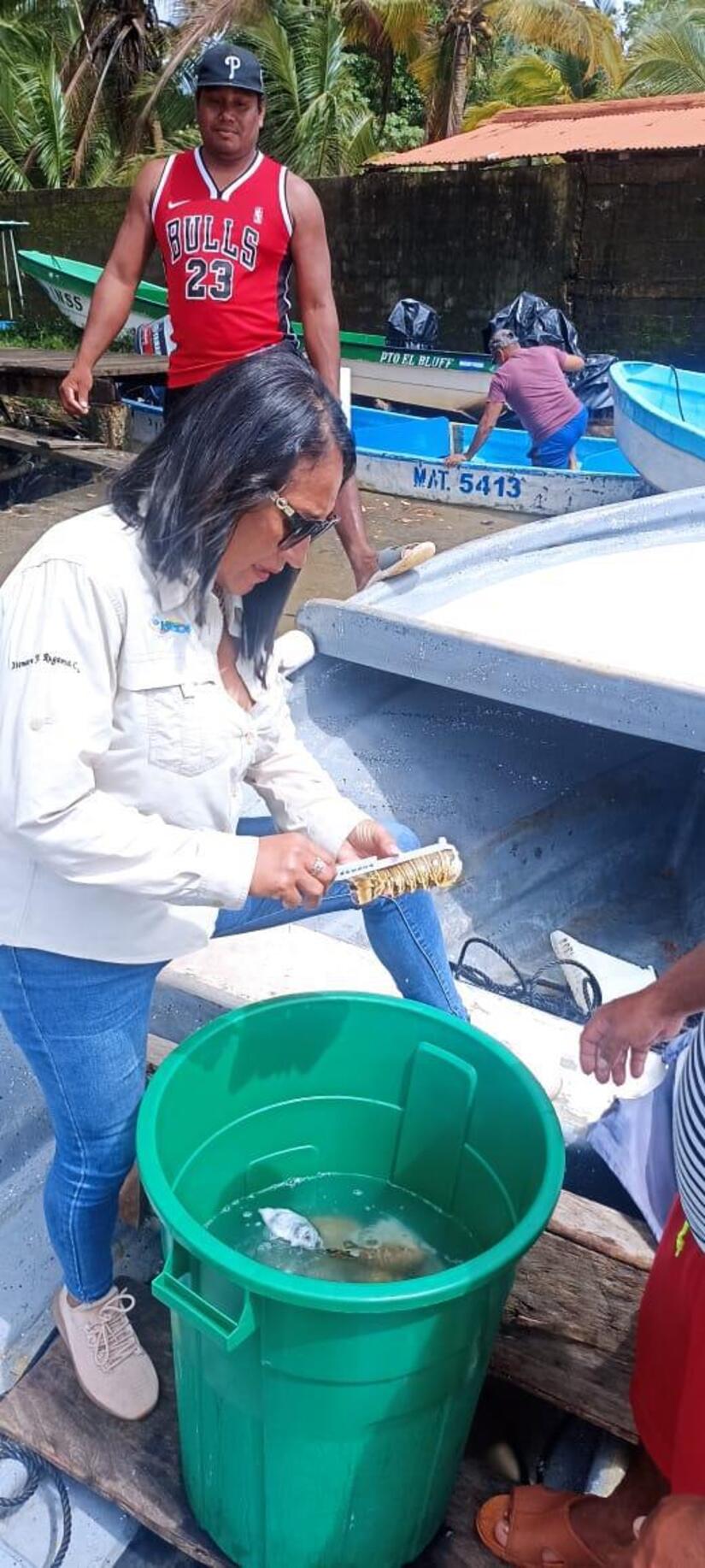 Pesca-de-Langosta-4