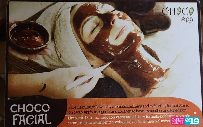 CACAO31