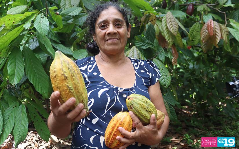 CACAO41
