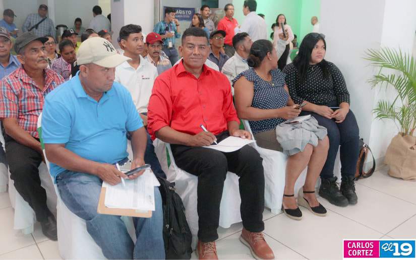 FORO6