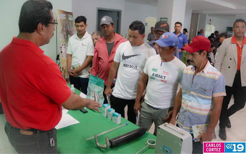 FORO8