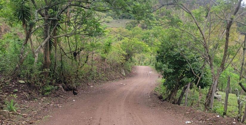 CAMINOS25