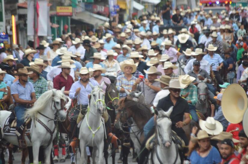 HIPICOS07