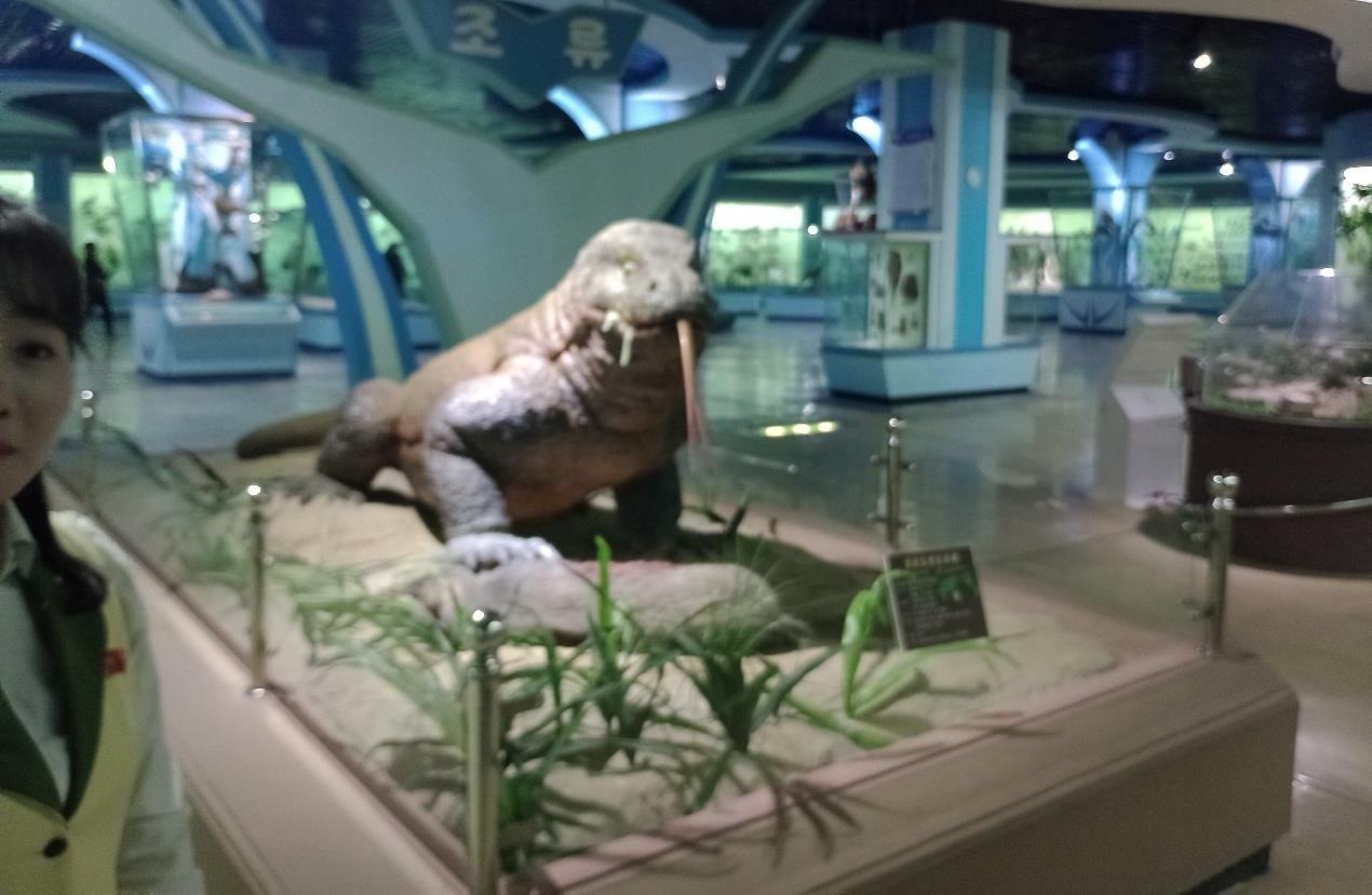 MUSEO5