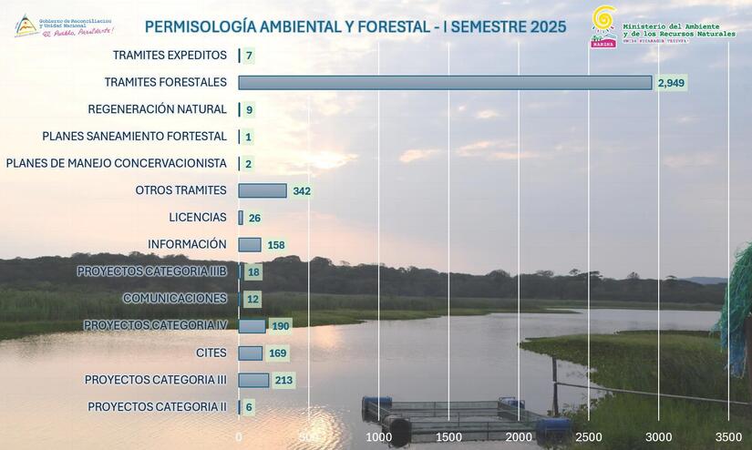 MARENA7