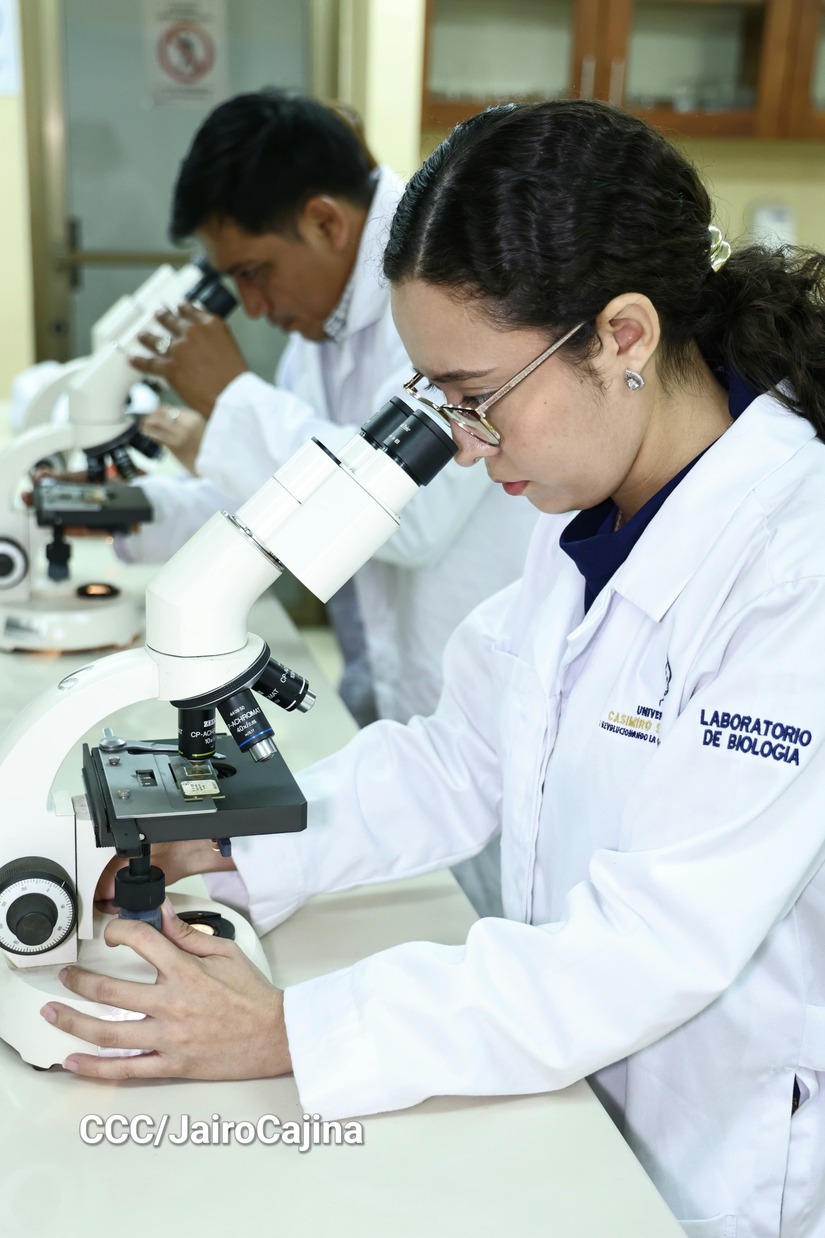 LABORATORIOS5