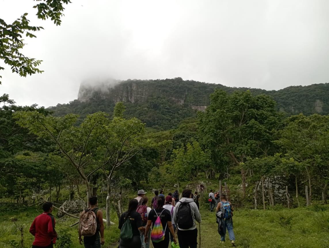 CAMINATA7
