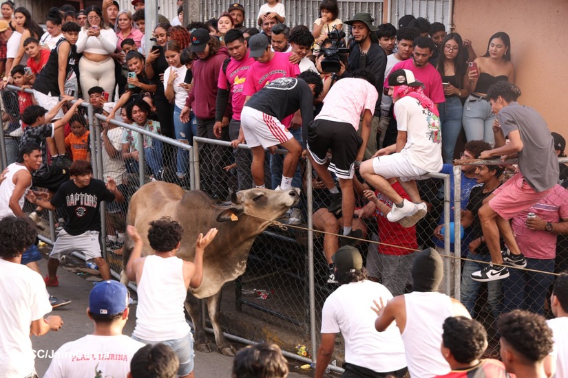 VACAS-CULONAS--(13)