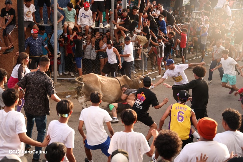 VACAS-CULONAS--(14)