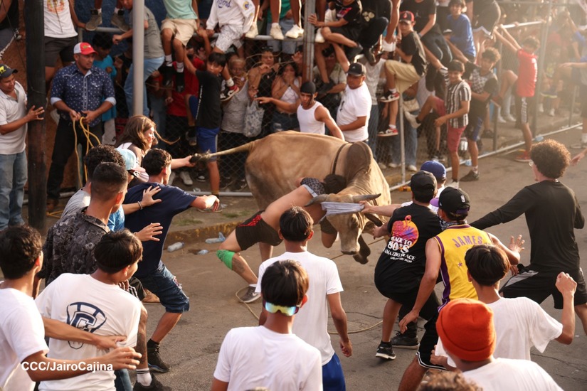 VACAS-CULONAS--(15)