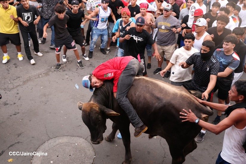 VACAS-CULONAS--(2)