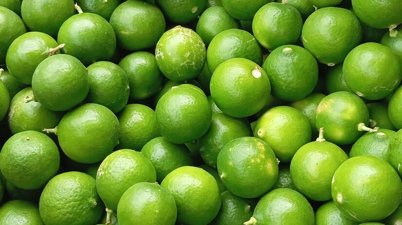 CITRICOS-(3)