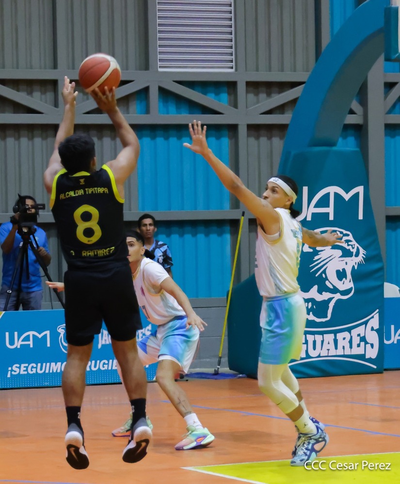 BASKET--(10)