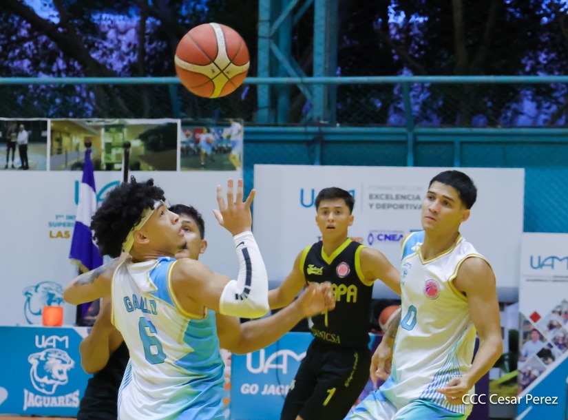 BASKET--(14)