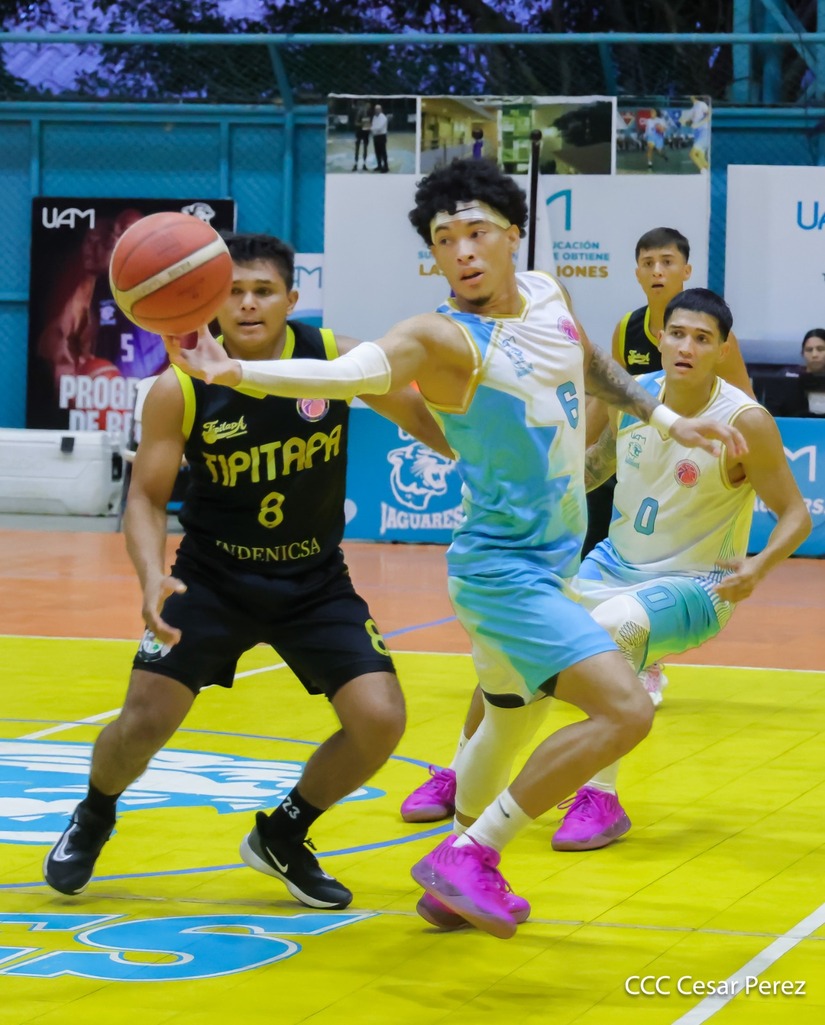 BASKET--(15)