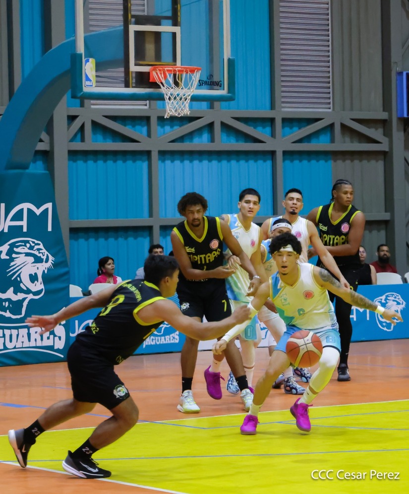 BASKET--(17)