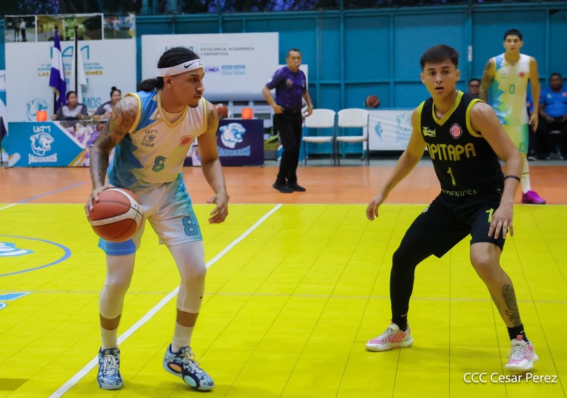 BASKET--(23)